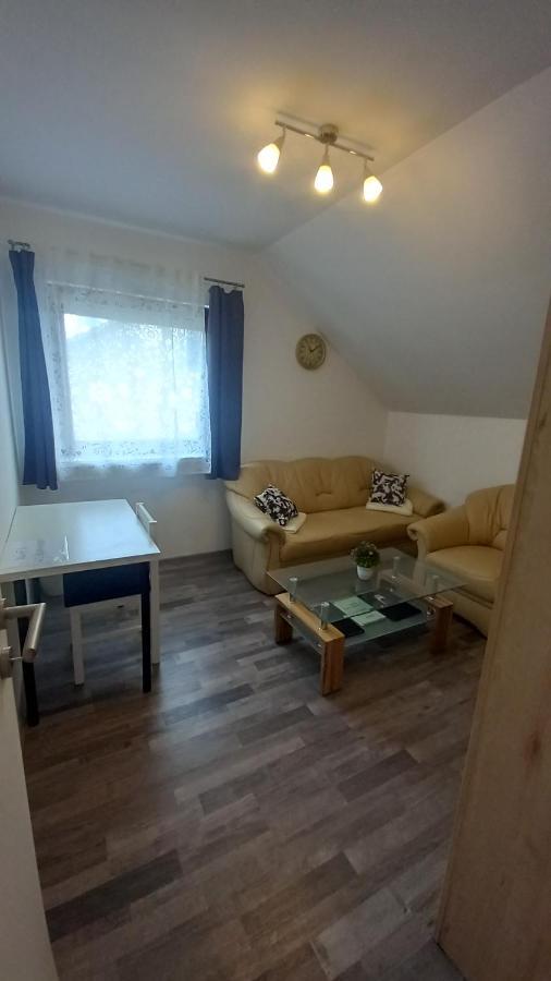 Appartamento Keti Plaški Esterno foto